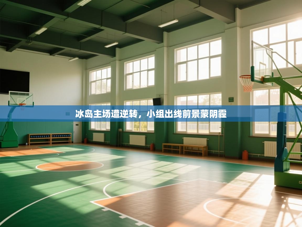 问鼎体育在线-冰岛主场遭逆转，小组出线前景蒙阴霾  第4张