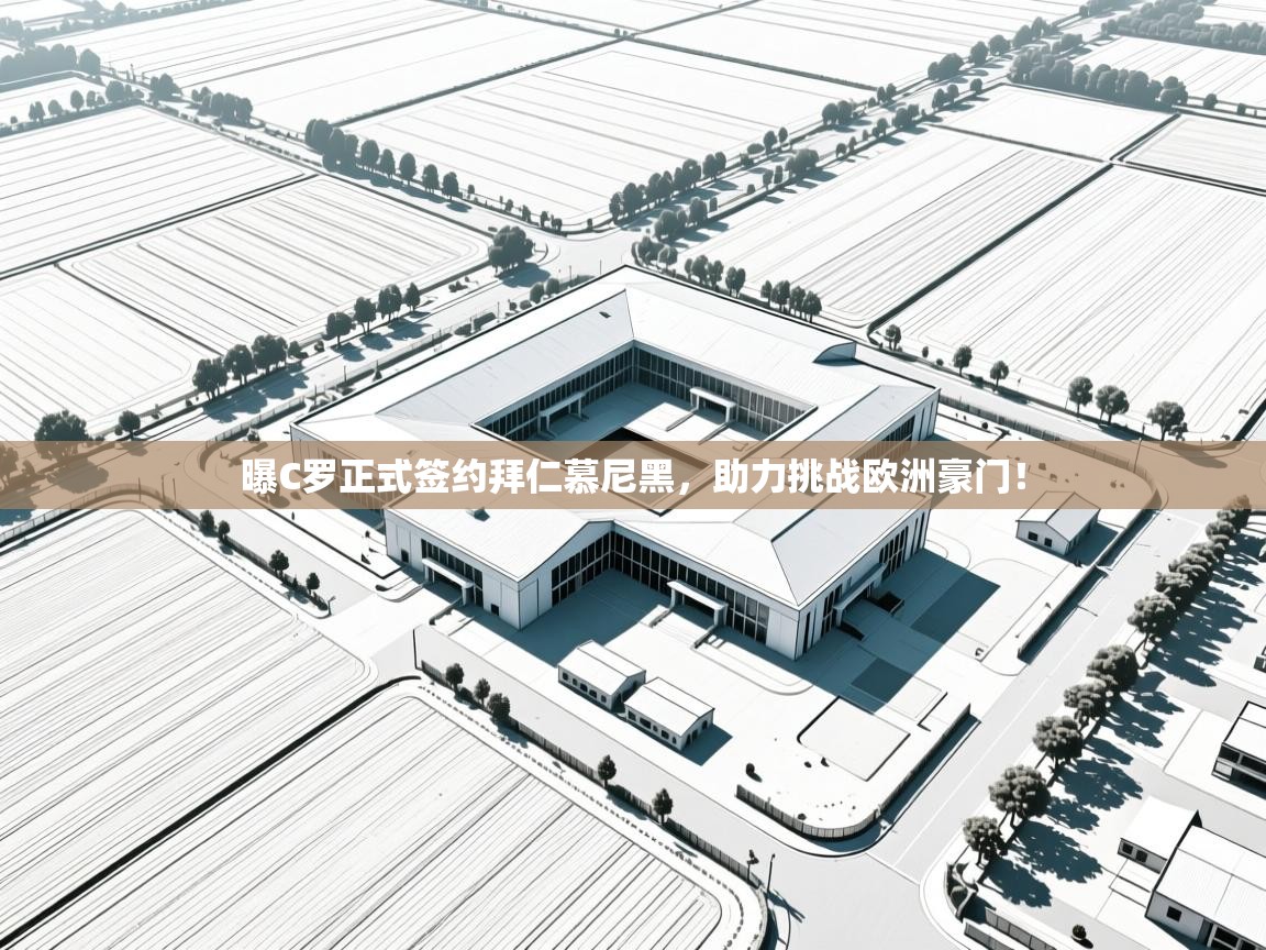 问鼎娱乐在线玩-曝C罗正式签约拜仁慕尼黑，助力挑战欧洲豪门！  第3张