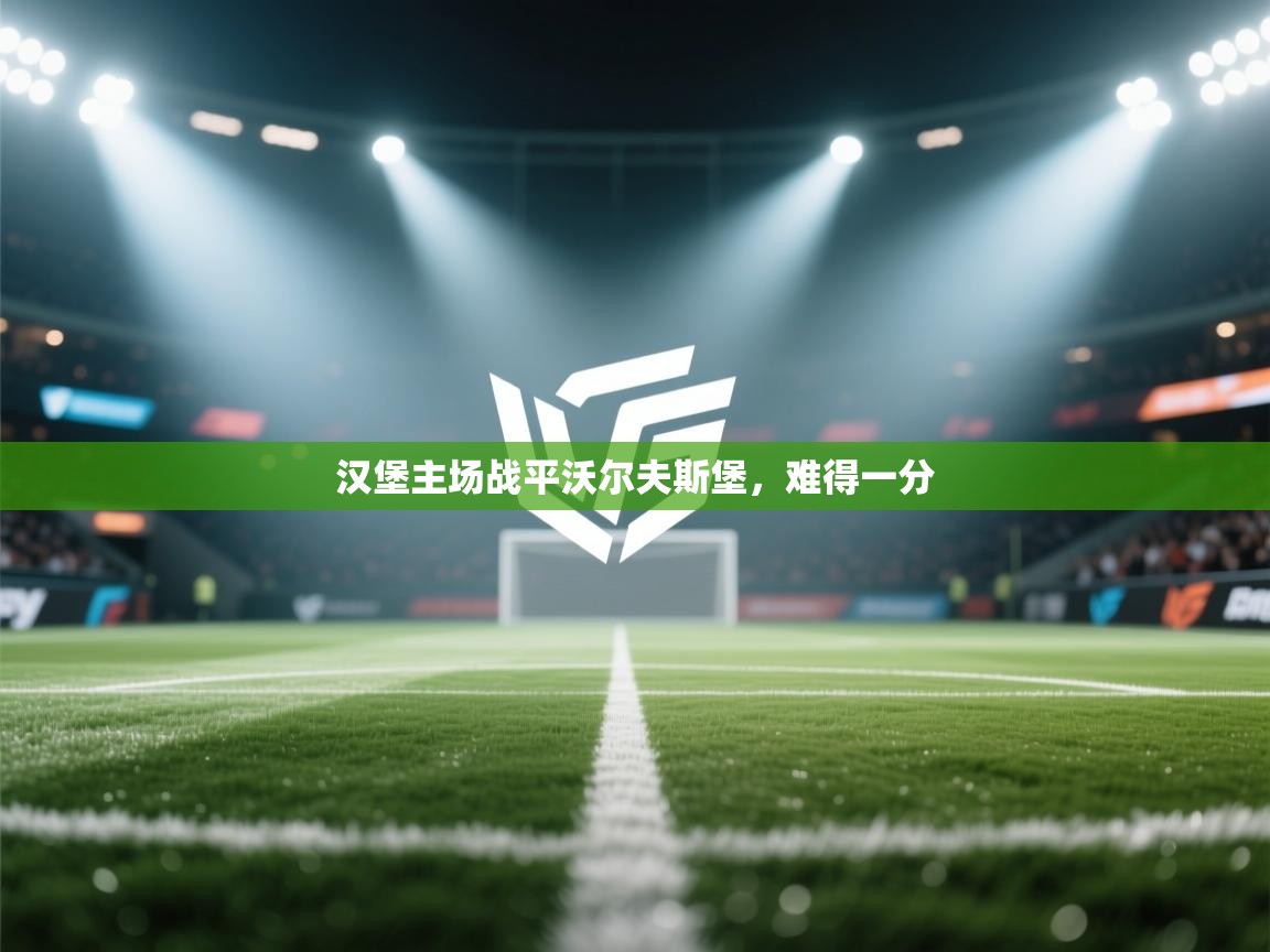 问鼎体育pg-汉堡主场战平沃尔夫斯堡，难得一分  第4张