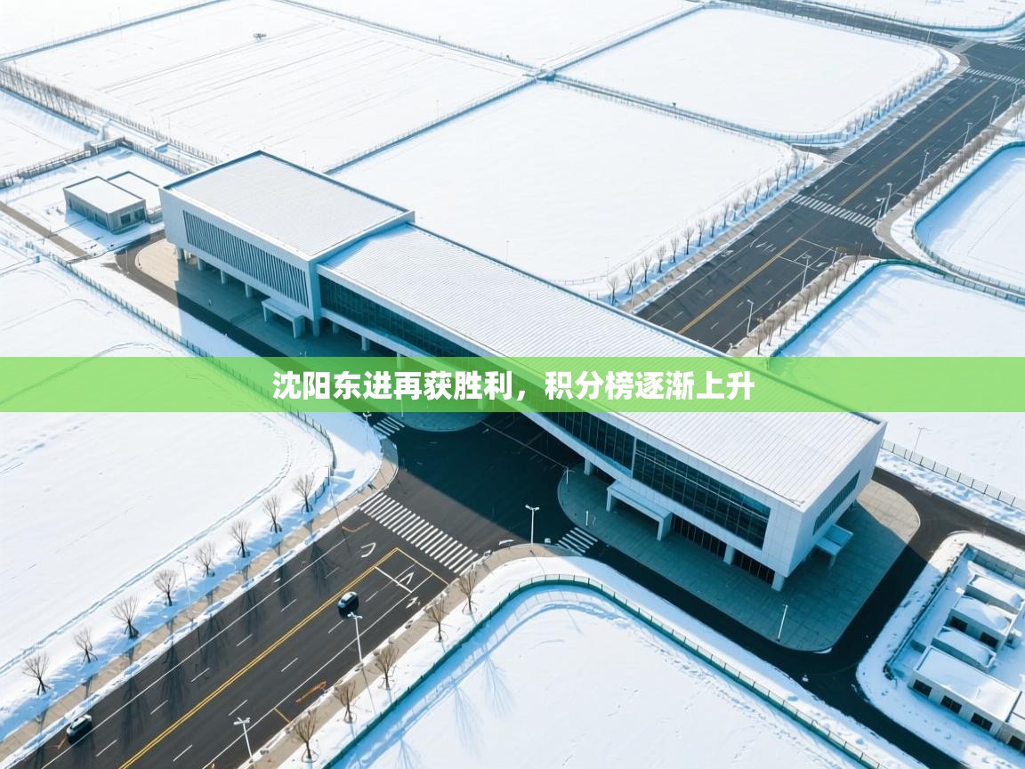 问鼎娱乐pg电子-沈阳东进再获胜利，积分榜逐渐上升  第4张