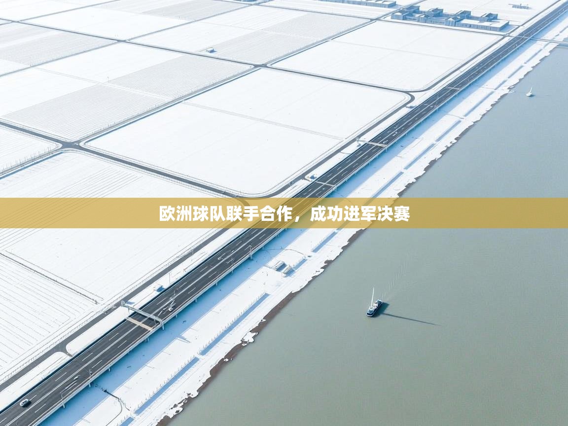 问鼎体育官网-欧洲球队联手合作，成功进军决赛  第2张