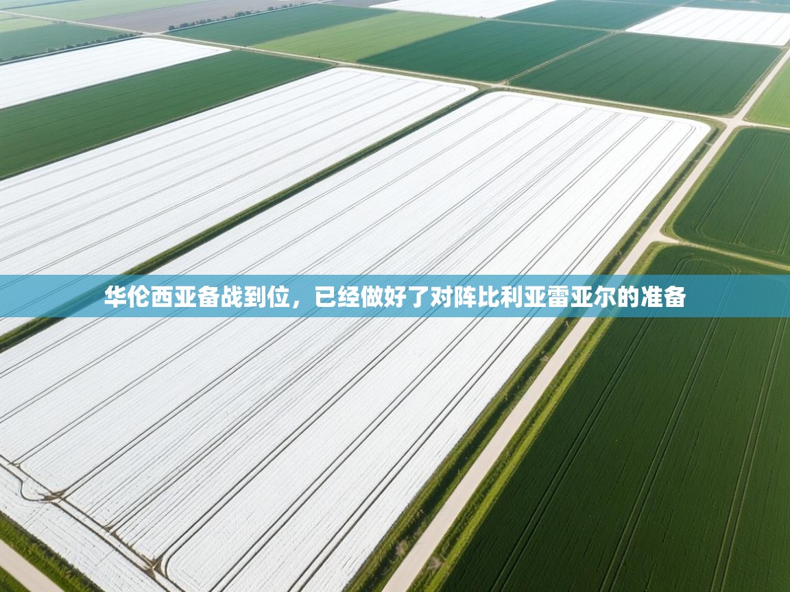 问鼎娱乐在线官网-华伦西亚备战到位，已经做好了对阵比利亚雷亚尔的准备  第3张