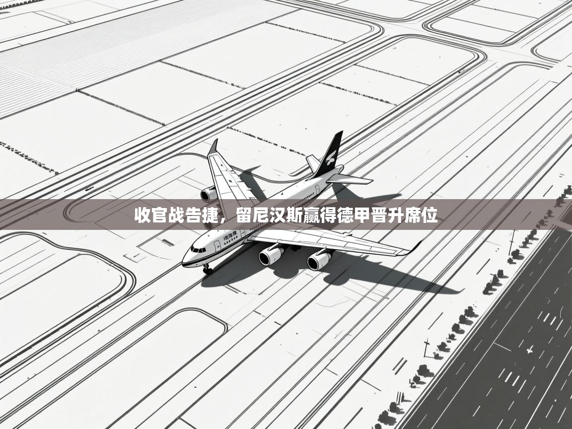 问鼎体育官网点此进入-收官战告捷，留尼汉斯赢得德甲晋升席位  第2张