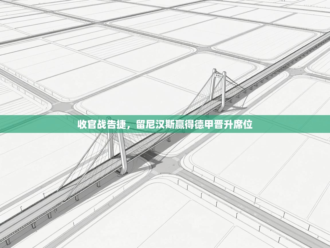 问鼎体育官网点此进入-收官战告捷，留尼汉斯赢得德甲晋升席位  第4张