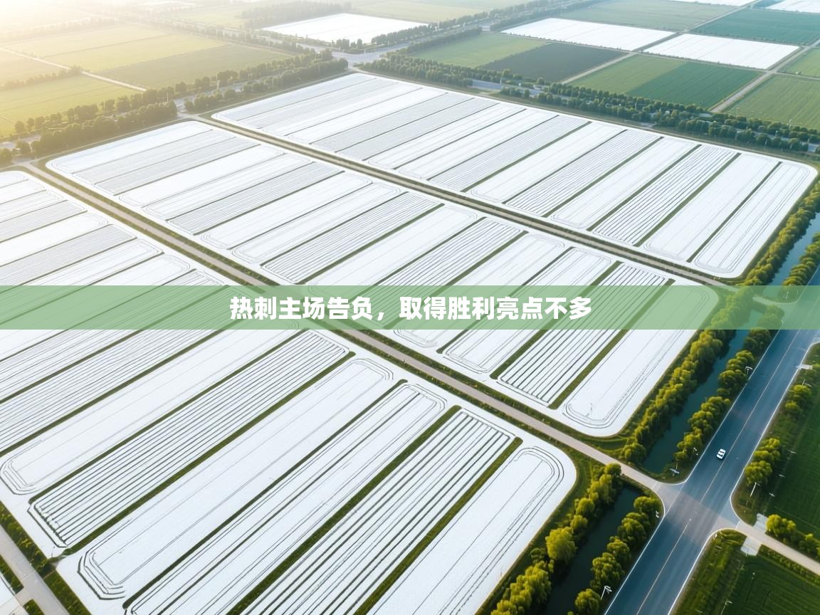 问鼎娱乐app下载-热刺主场告负，取得胜利亮点不多  第2张