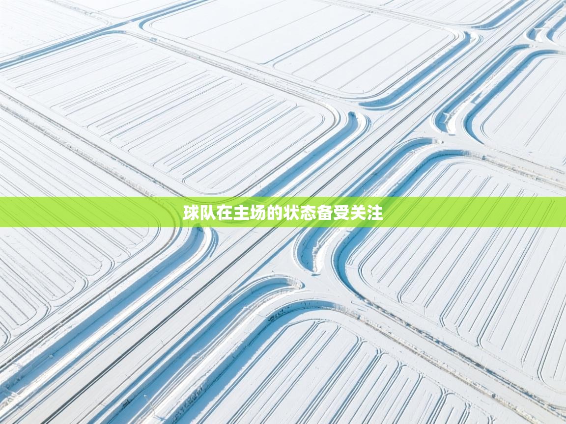 问鼎娱乐官网-球队在主场的状态备受关注  第1张