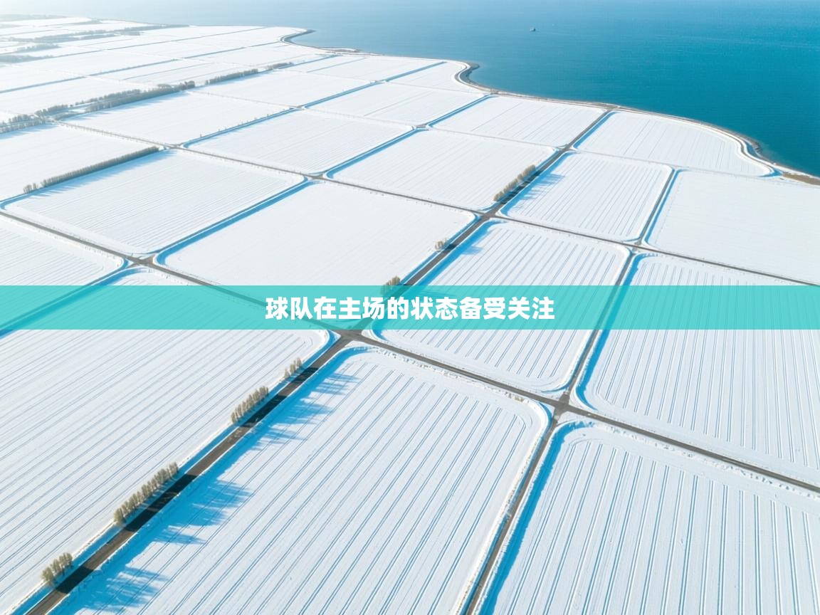 问鼎娱乐官网-球队在主场的状态备受关注  第3张